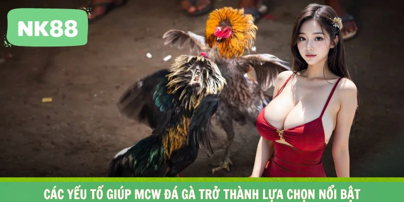 Các yếu tố giúp Mcw đá gà trở thành lựa chọn nổi bật