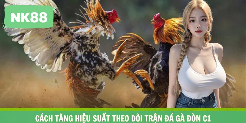 Cách tăng hiệu suất theo dõi trận đá gà đòn C1